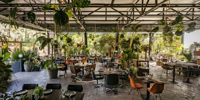 Clients 2 HOUSE OF WOW Announces 3rd June 2023 opening in Ibiza