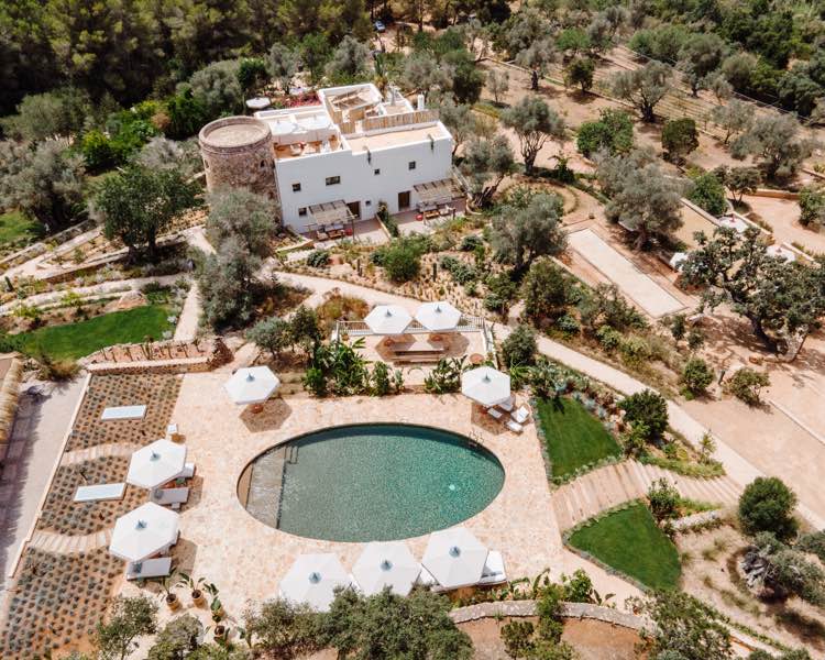 FincaDelica Drone 14