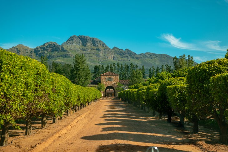 Stellenboch matthias wesselmann HBiwI3hoOuo unsplash