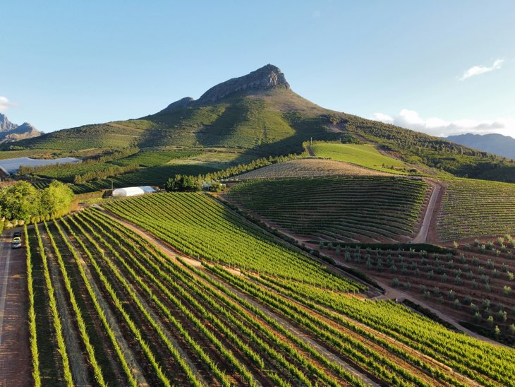 winelands nenad gataric 2GZvGZh4dJc unsplash