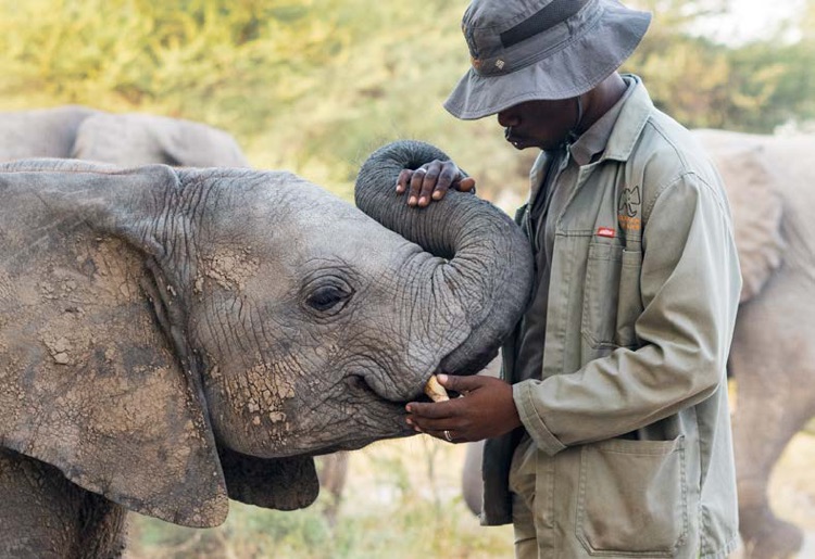 Elephant Havens Experience 15