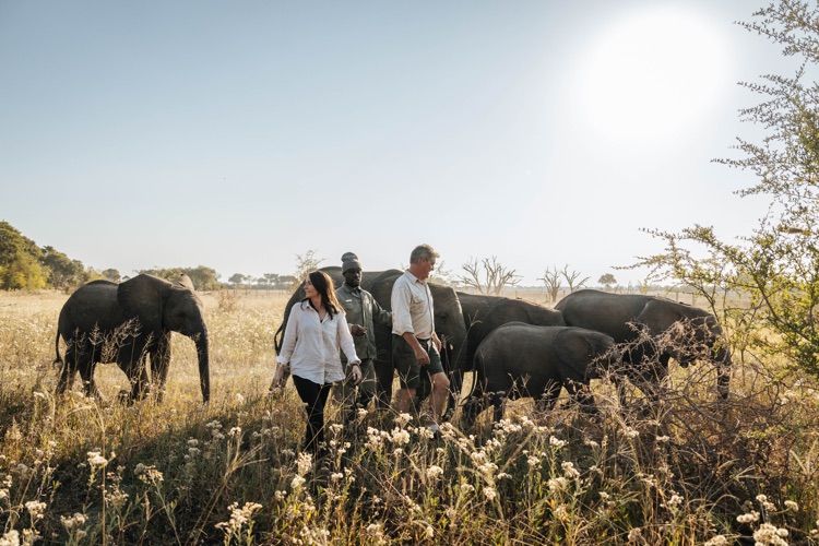 Helicopter Horizons Elephant Havens 3