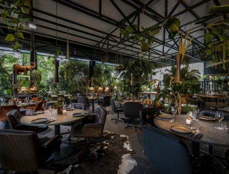 HOUSE OF WOW Announces 3rd June 2023 opening in Ibiza